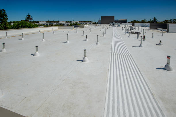 Best 4 Ply Roofing  in Ladera Heights, CA